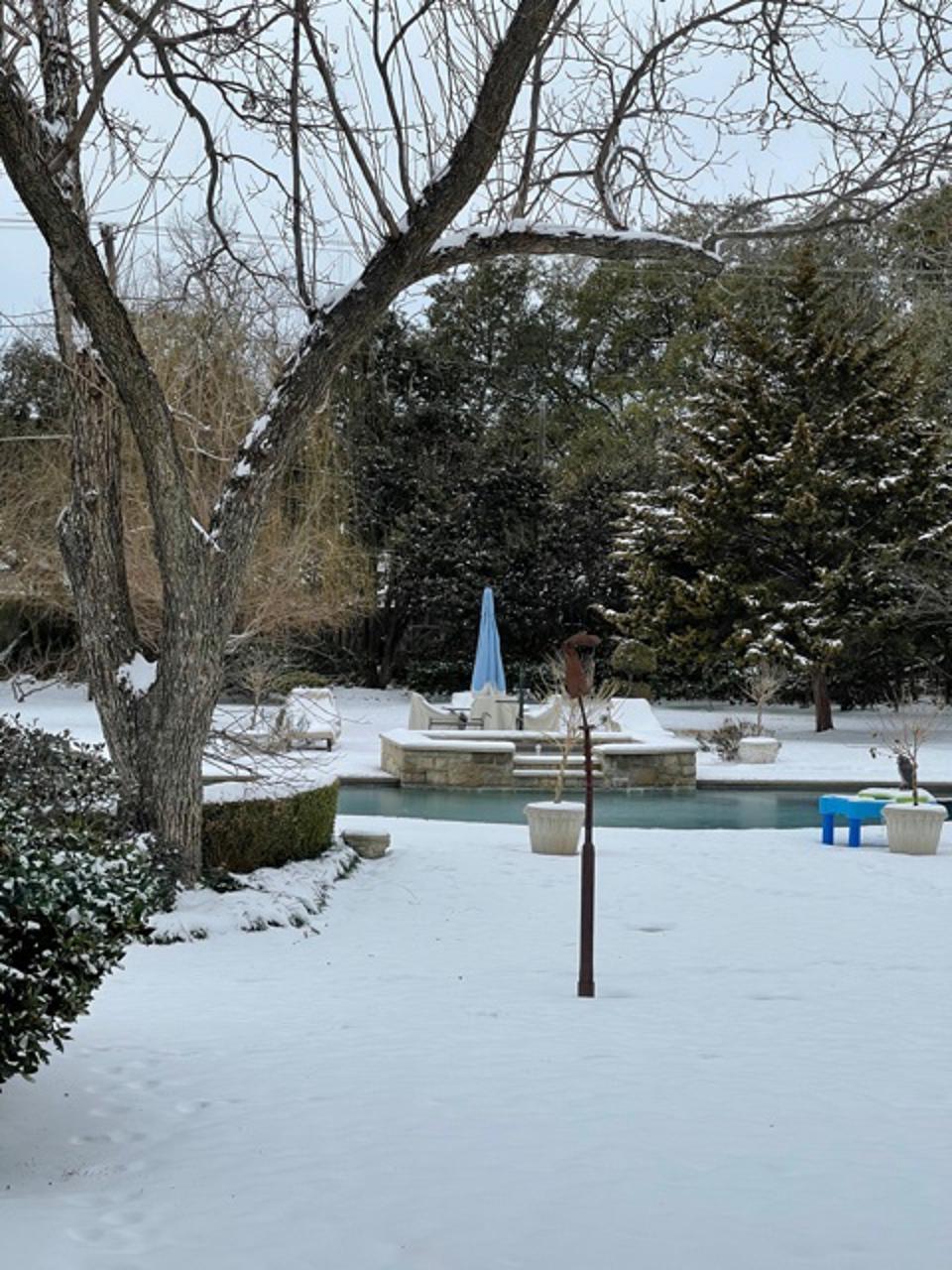 frozen Texas pool