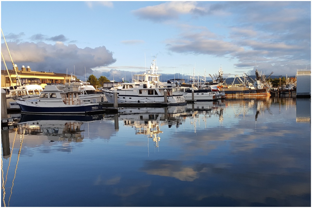 Boats docked in Bellingham