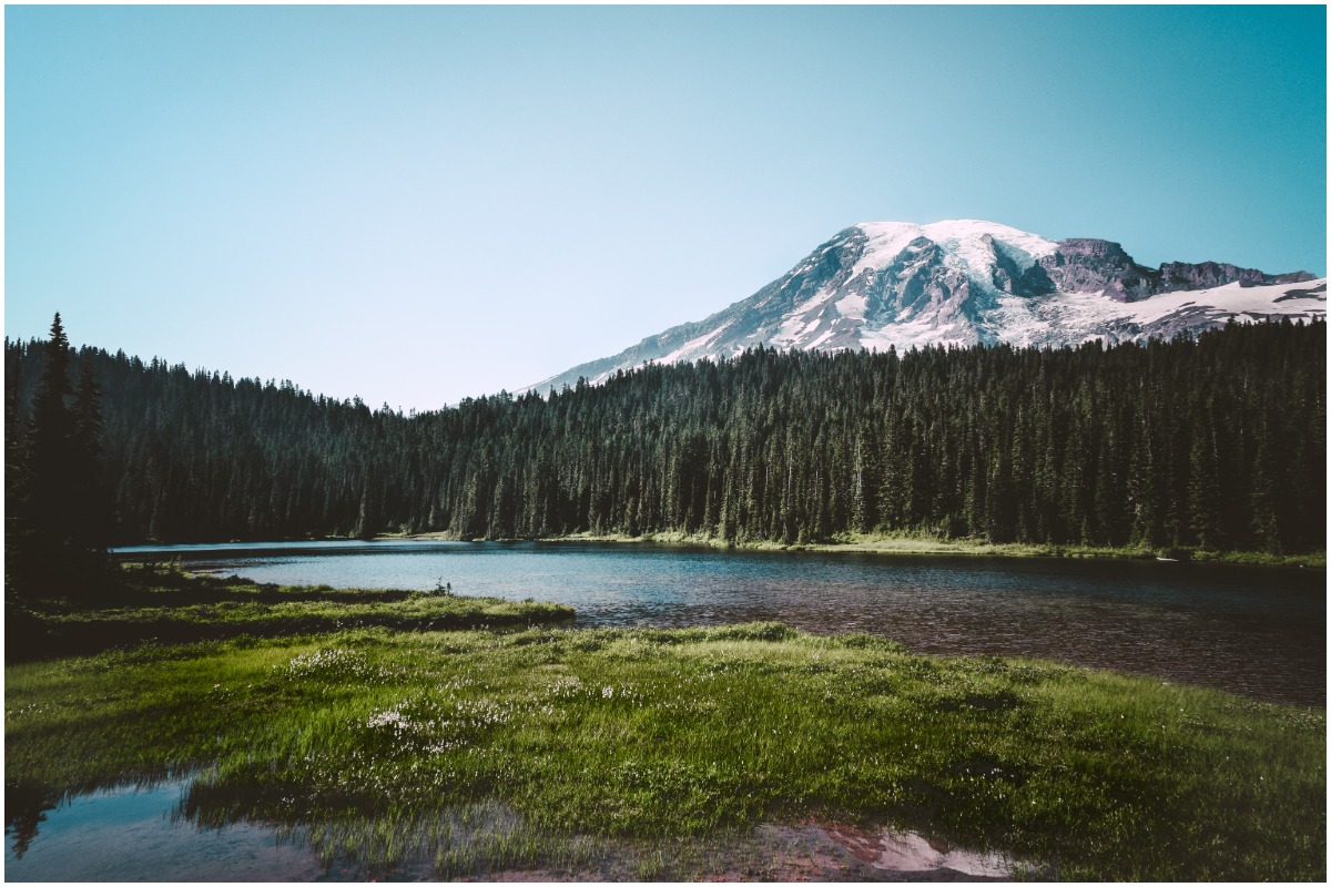 Mount Rainier National Park